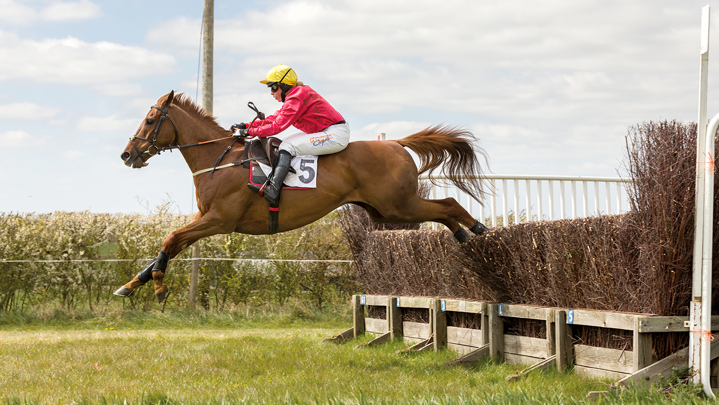 HAH304.p2p_highlights.laurium_pt_highlights_graham_bishop_comm1use.jpg