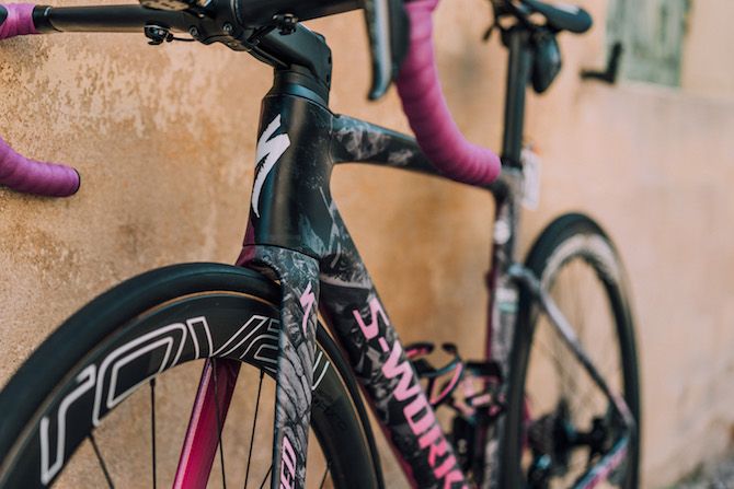 The stunning design of Pascal Ackermann's custom-painted Specialized Venge