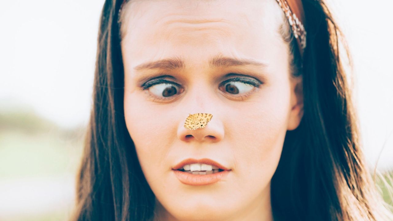 Why don't you usually see your nose?