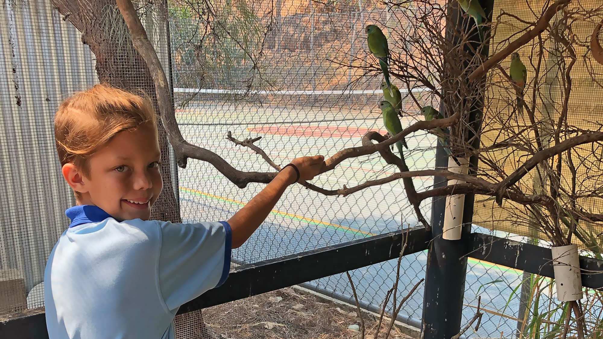 Stevie Wessel, a 4th grader, helps with the bird breeding program.