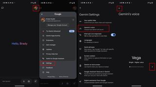 The settings to change Gemini's voice in the Gemini app.