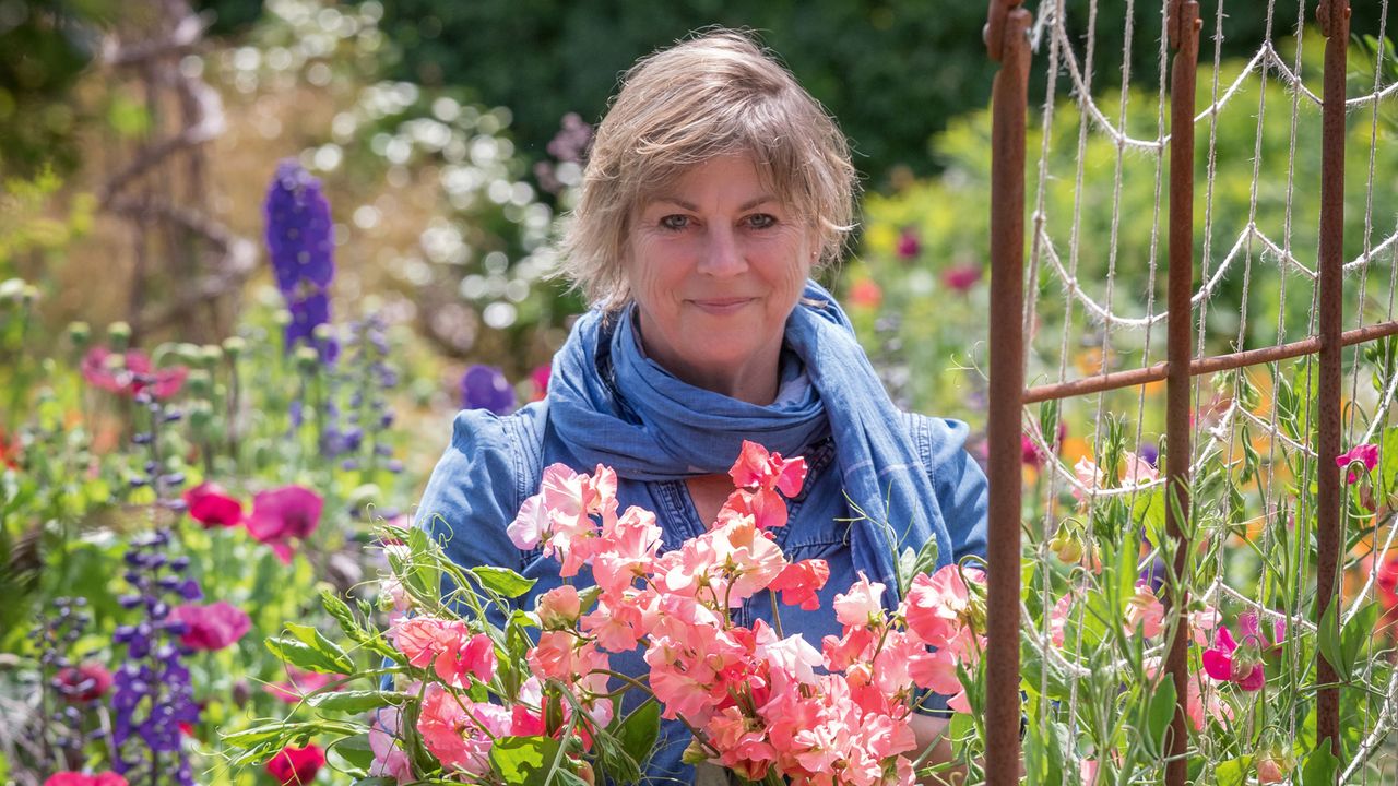 garden expert Sarah Raven holding a bunch of sweet peas in a cut flower patch