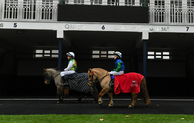 Shetland Pony Grand National_Olympia_18PN_471