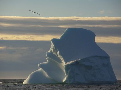 Global Warming Iceberg