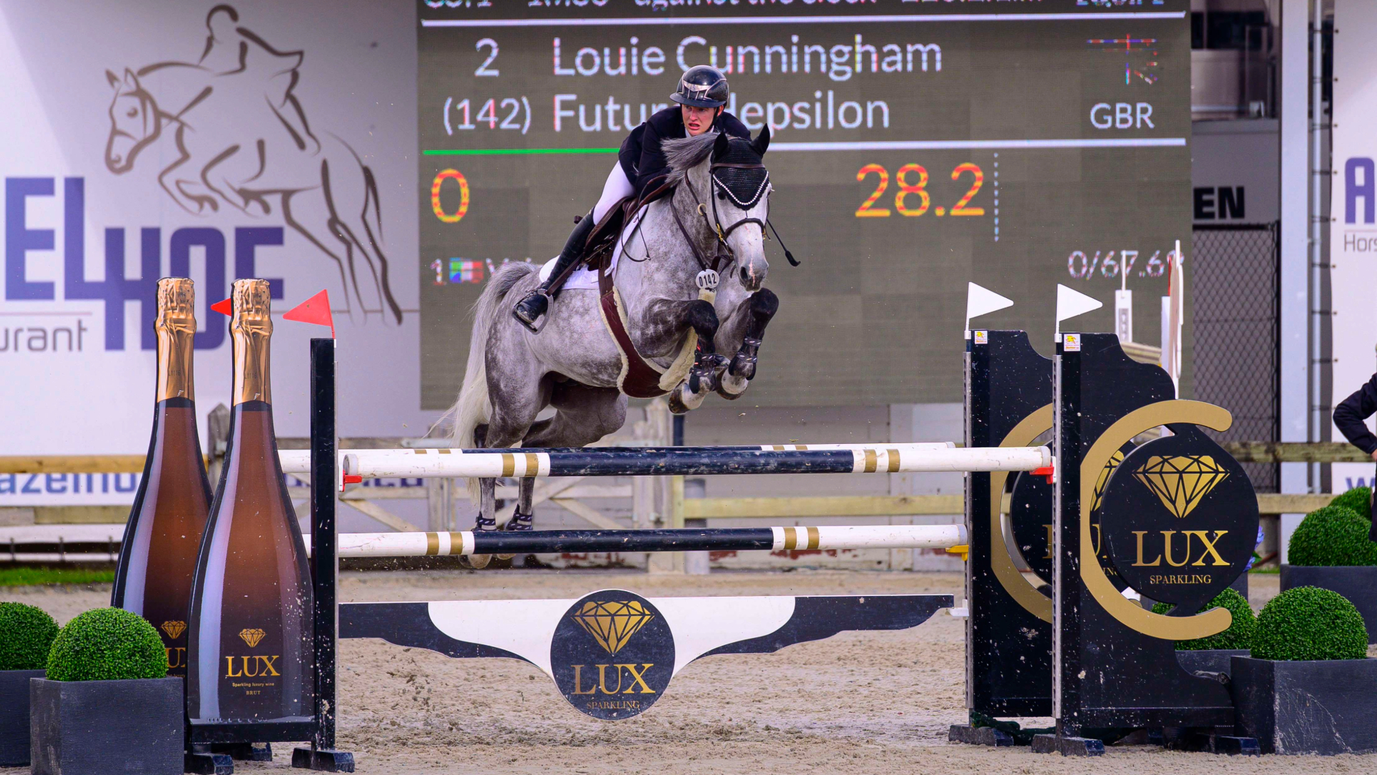 Future Hepsilon Future Hepsilon, AES eventing stallion at stud at Future Sport Horses, East Yorkshire