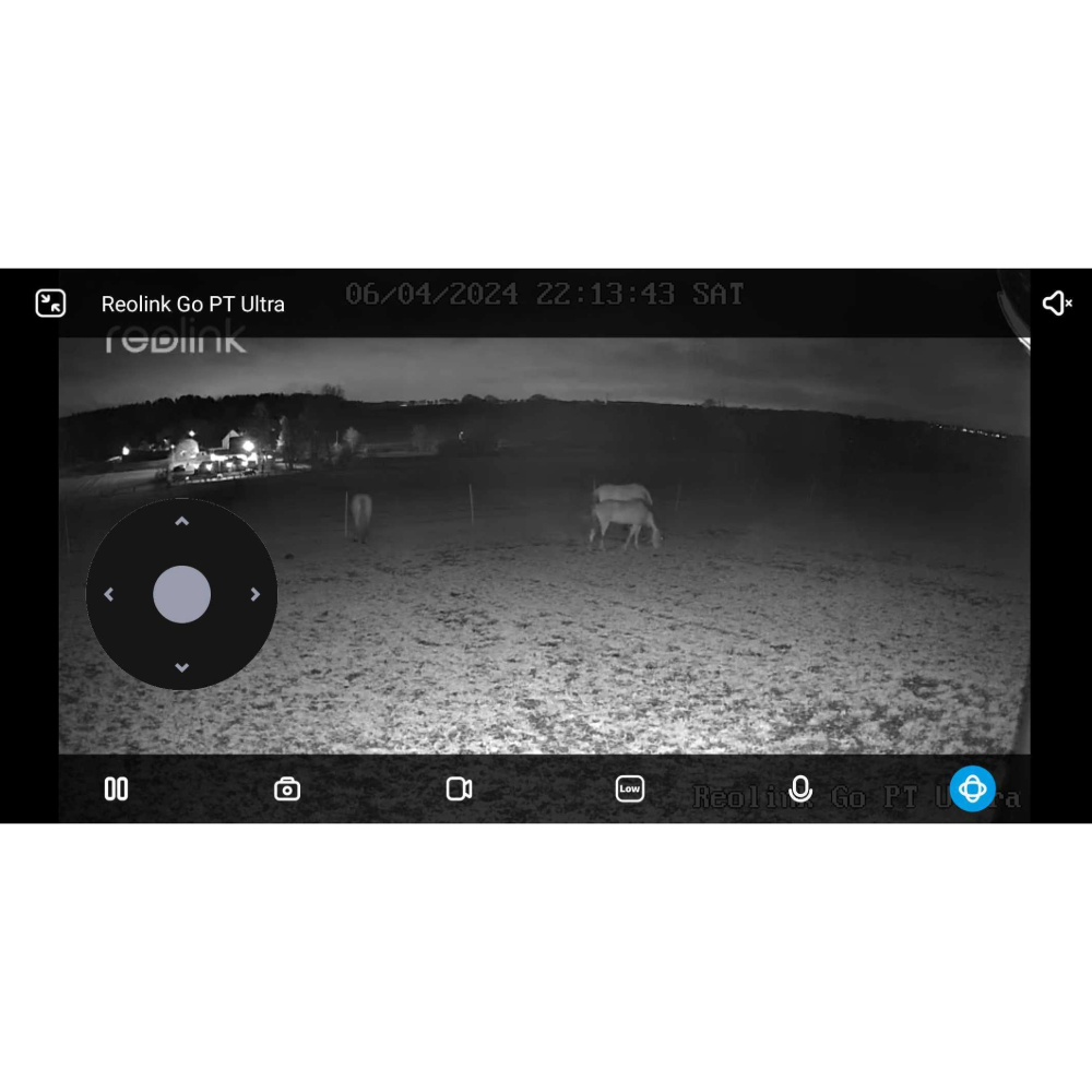 Georgia's view of her horses in the field using the Reolink Go PT Ultra Plus, one of the best pet cameras, in night vision view