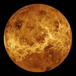 Round Venus fills the image, with light gold tracks against a burnt orange sphere.