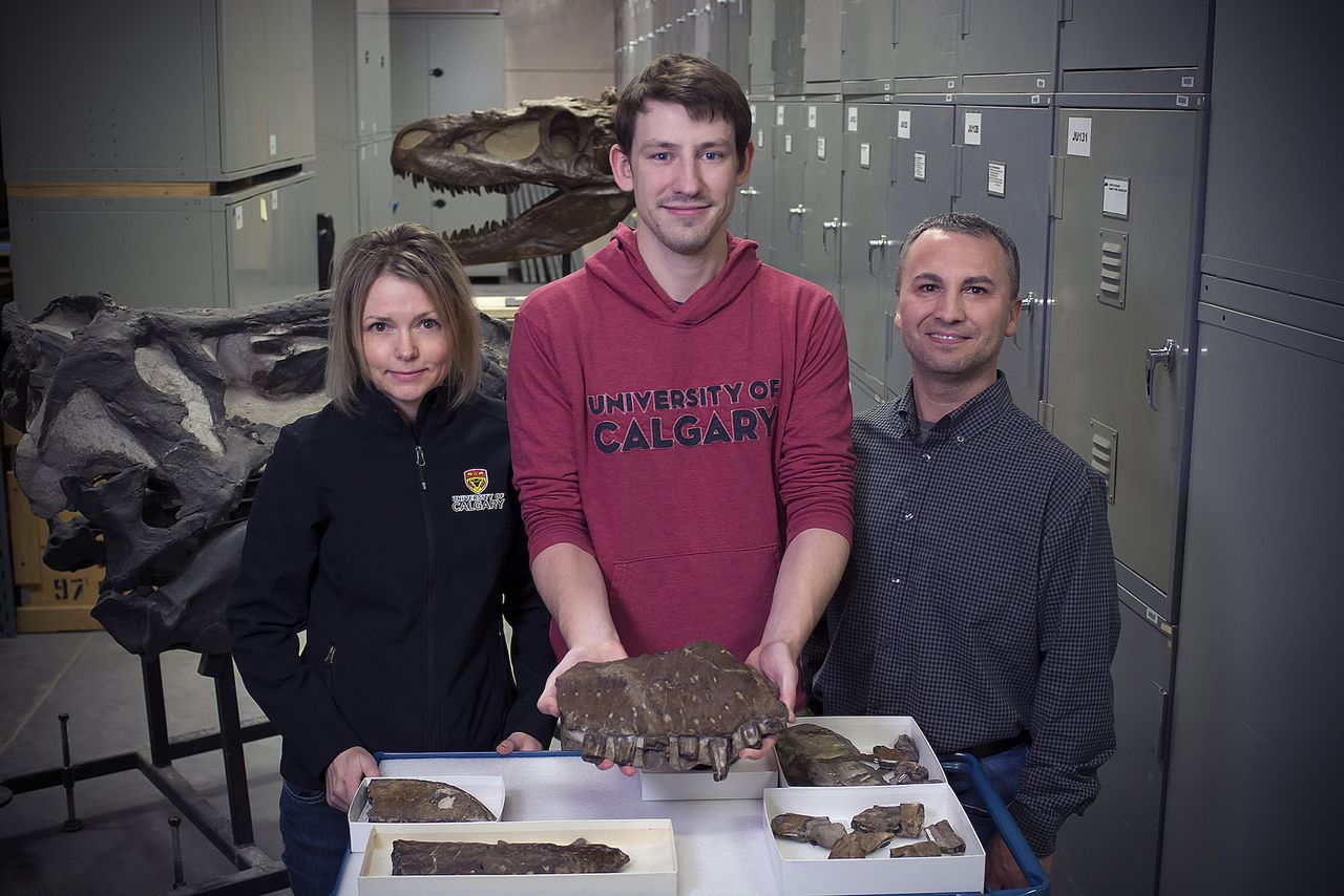 Study researchers Darla Zelenitsky (left) Jared Voris and François Therrien present the Thanatotheristes fossils, which are part of the collections at the Royal Tyrrell Museum in Alberta, Canada.