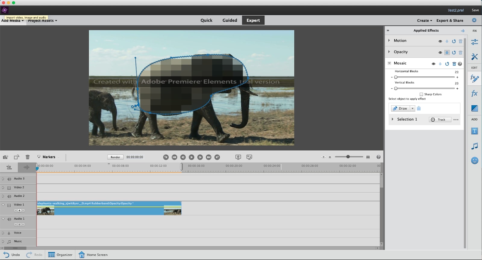 Screengrab showing elephant footage being edited in Adobe Premiere Elements, one of the best video editing software tools