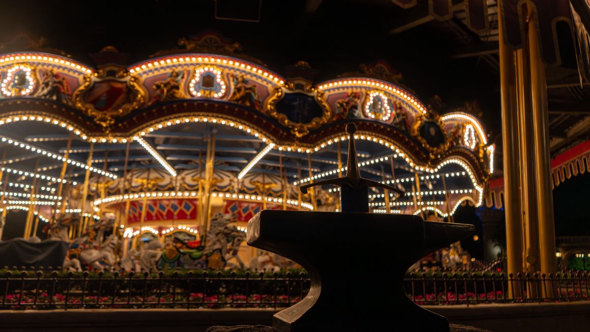 Disney World Magic Kingdom Overnight
