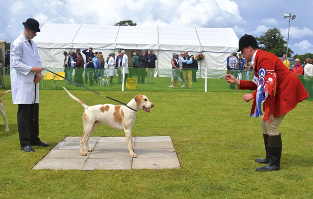 2-The-Island-Foxhounds-huntsman-Conor-Dwyer-and-whipper-in-Myles-OConnor-with-the-Doghound-Champion-Island-Buster-11-by-South-Dorset-Panther-08.jpg