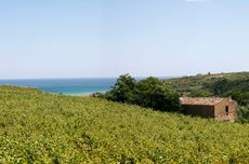 Tollo_landscape.jpg