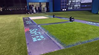 TGL's hitting area