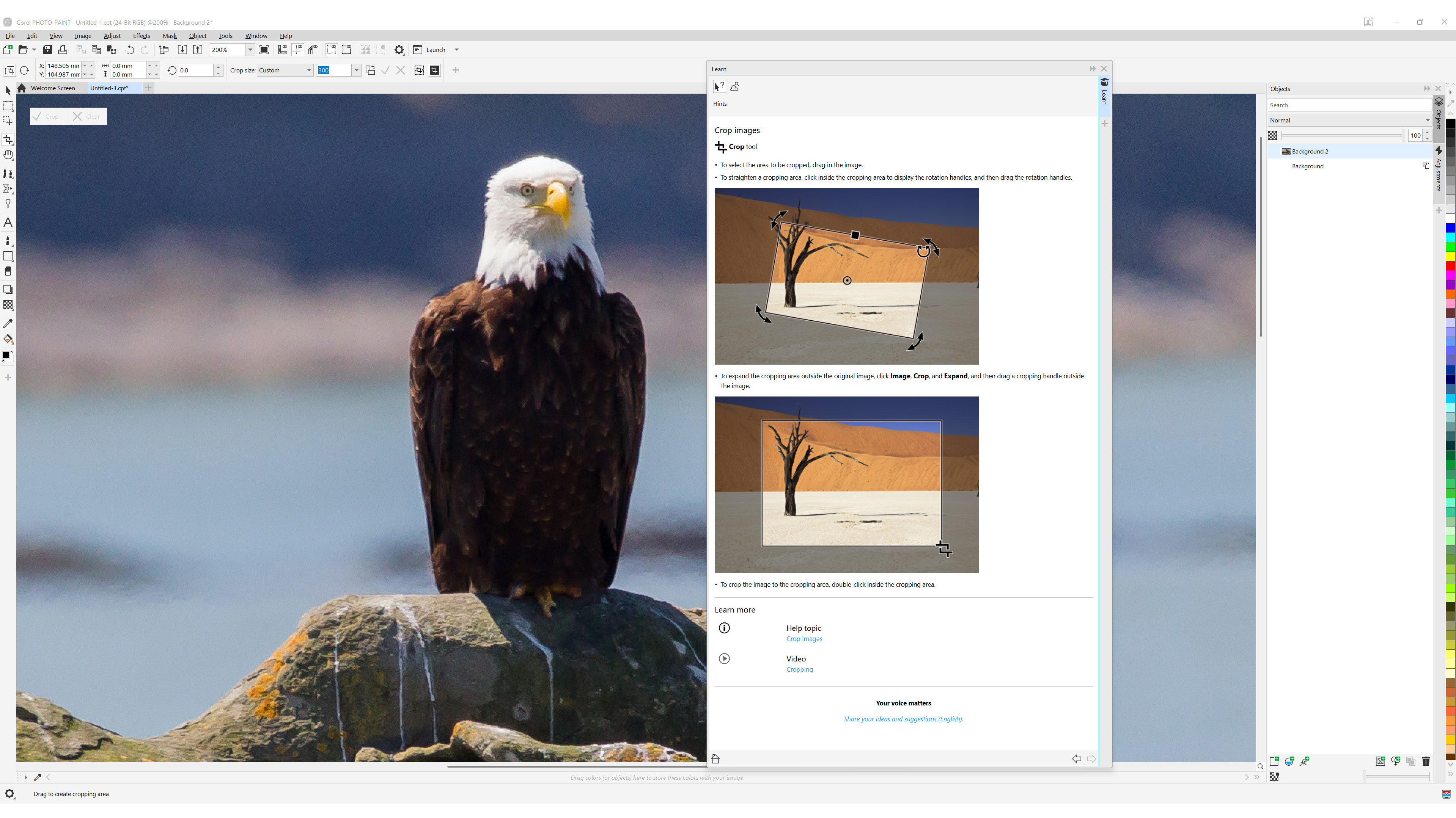 CorelDRAW Graphics Suite 2025