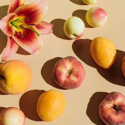 Best anal vibrators: A flat lay of some fruit