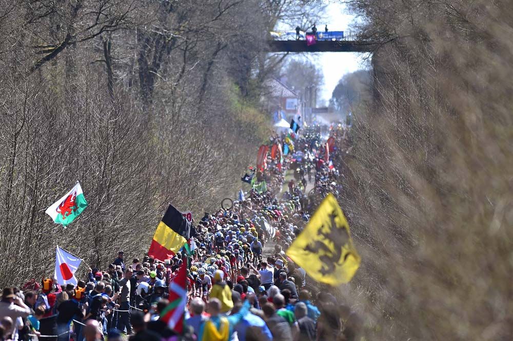 The huge crowds at the Forest of Arenberg
