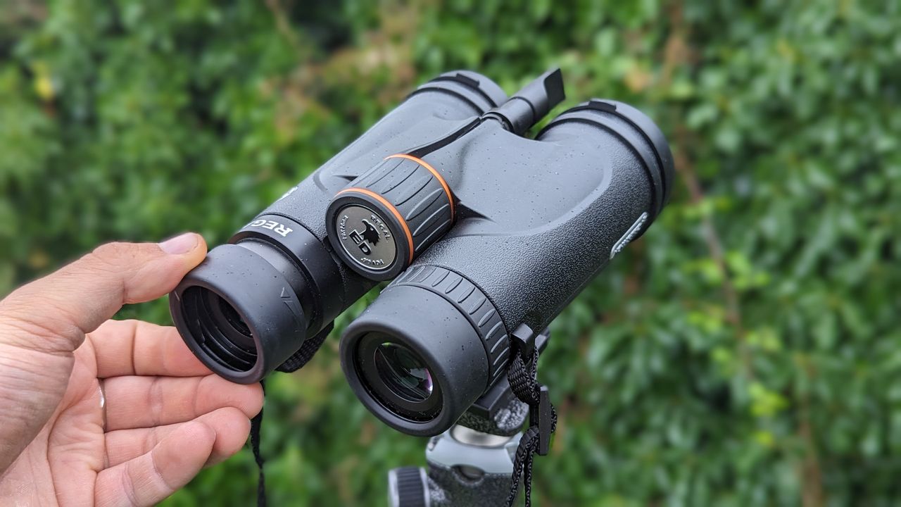 Binoculars with green foliage backdrop