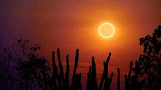 A 'ring of fire' eclipse hangs orange over the silhouettes of desert cactuses