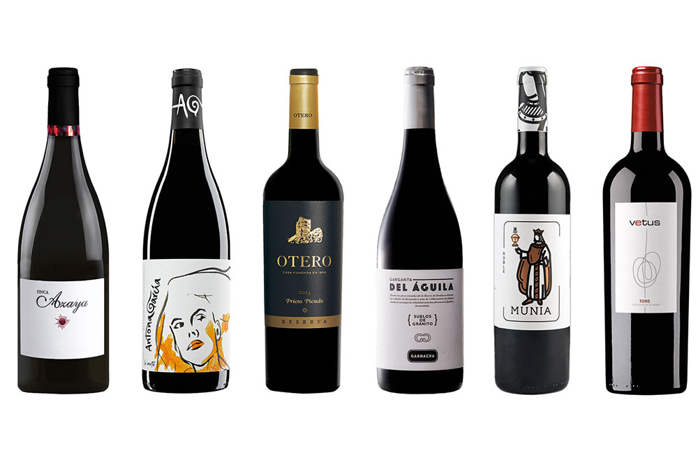Castilla y Leon wines 3