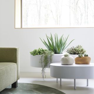 white walls with armchair and potted plants