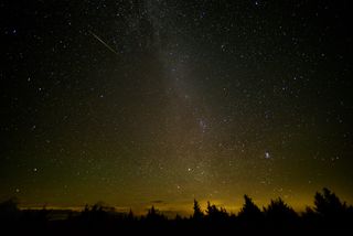 Image of a meteor streaking across the night sky above a pine forest