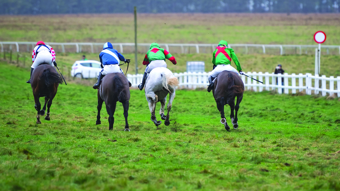 Southfield Theatre (left) and Master Dancer (middle) dead-heat