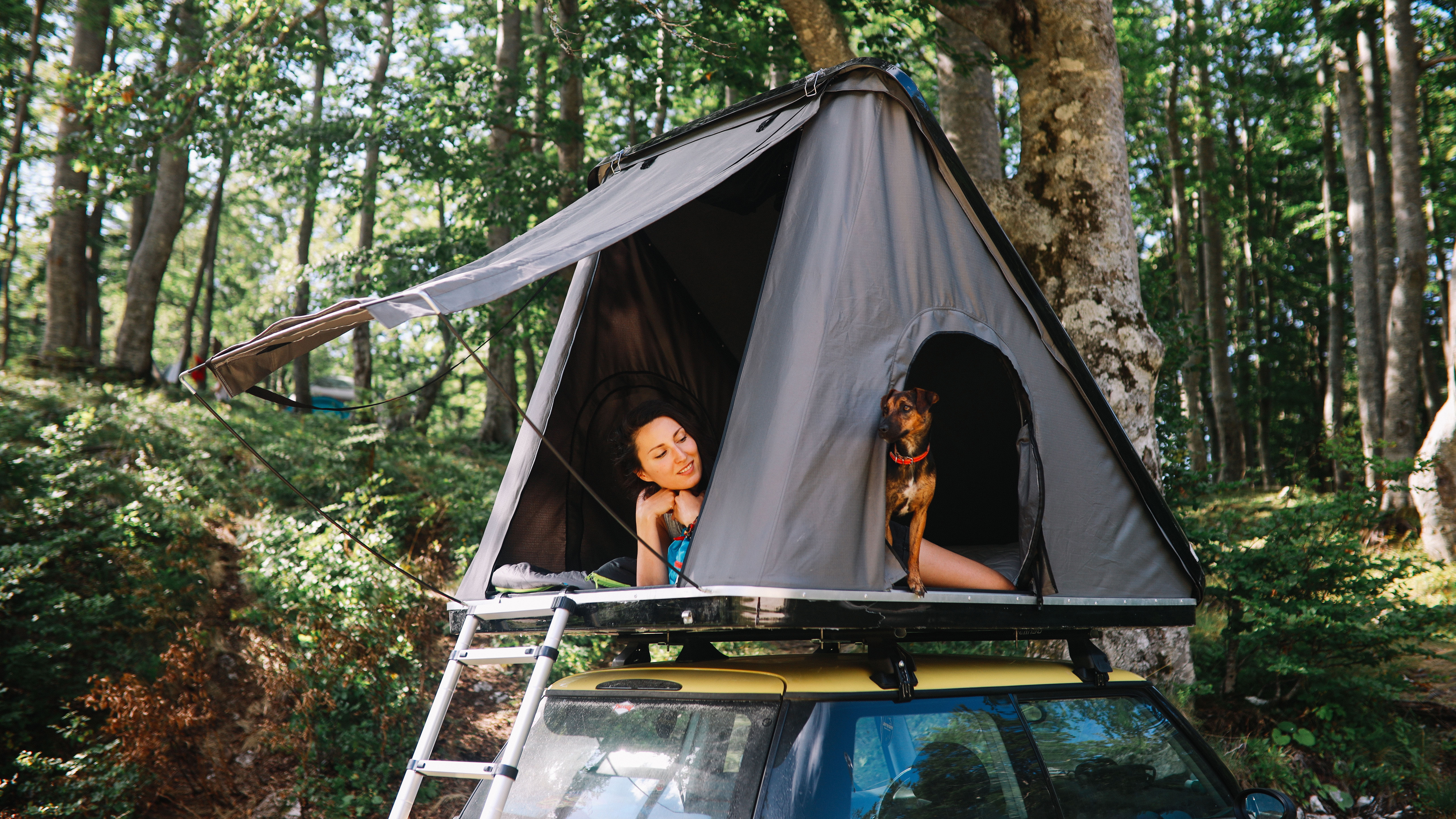 A woman and dog in a small rooftop tent atop a Mini