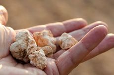 limestone, cava wine