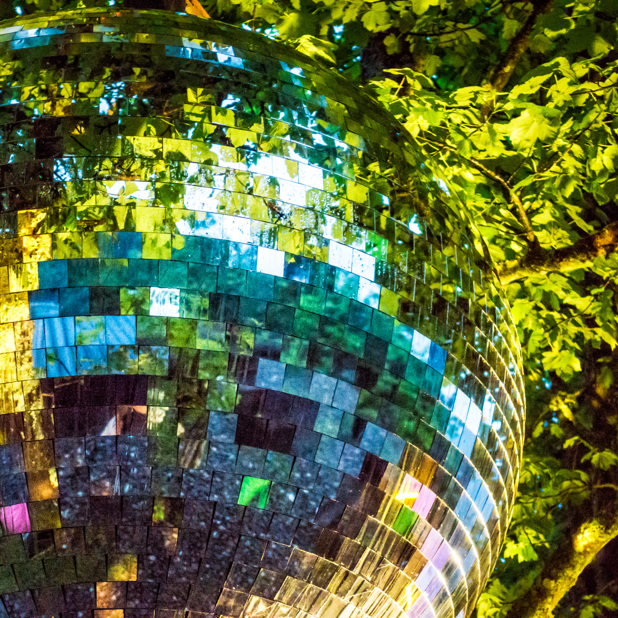 Disco ball in forest