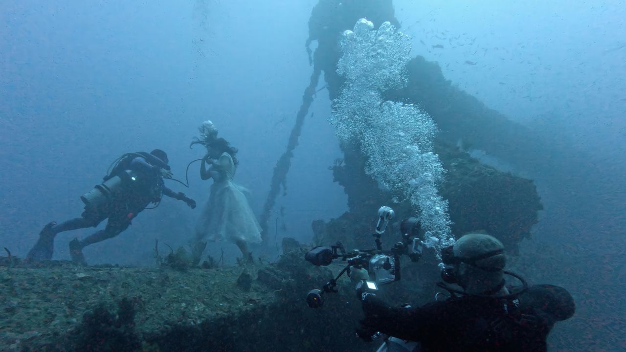 Photographs from an underwater photography shoot by Steve Haining