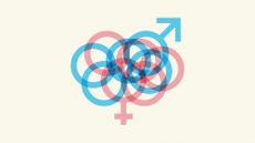 A jumble of gender symbols in the pink and blue colours of the transgender flag 