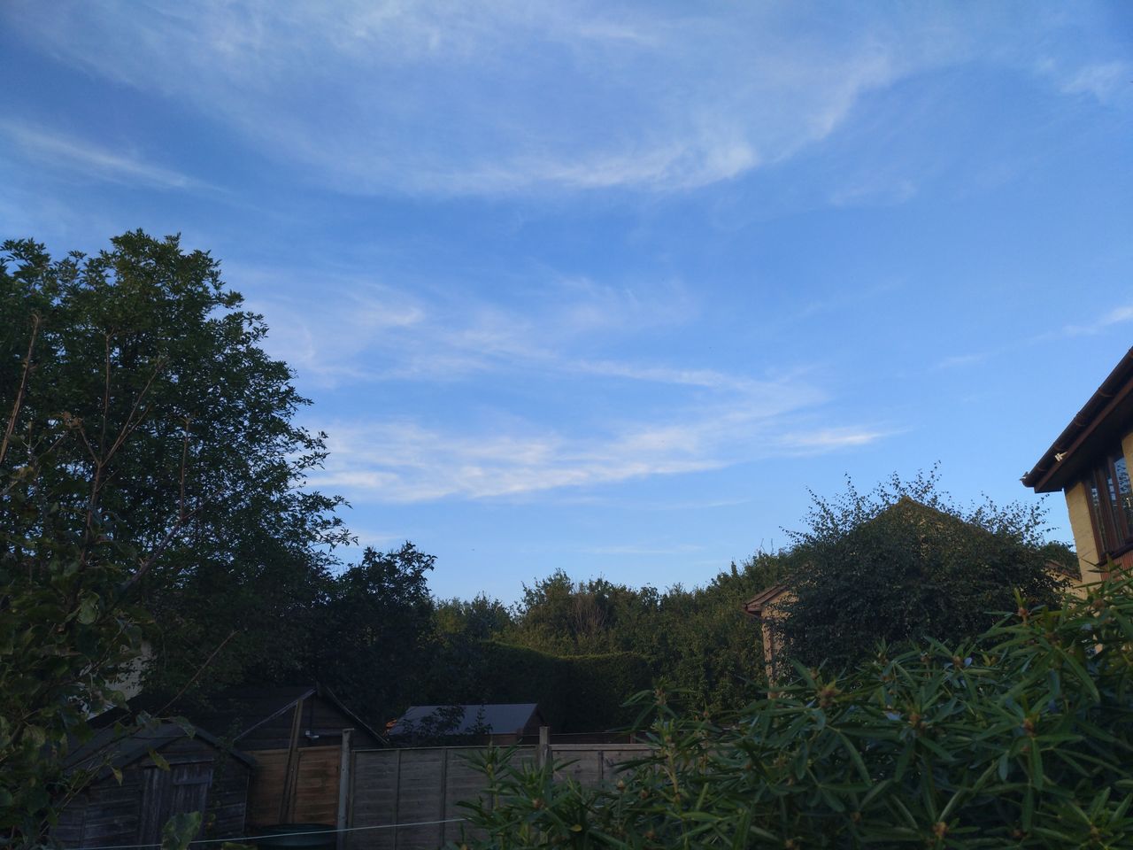 The Nubia Z11&rsquo;s camera picks out colors nicely, but contrast struggles without HDR.