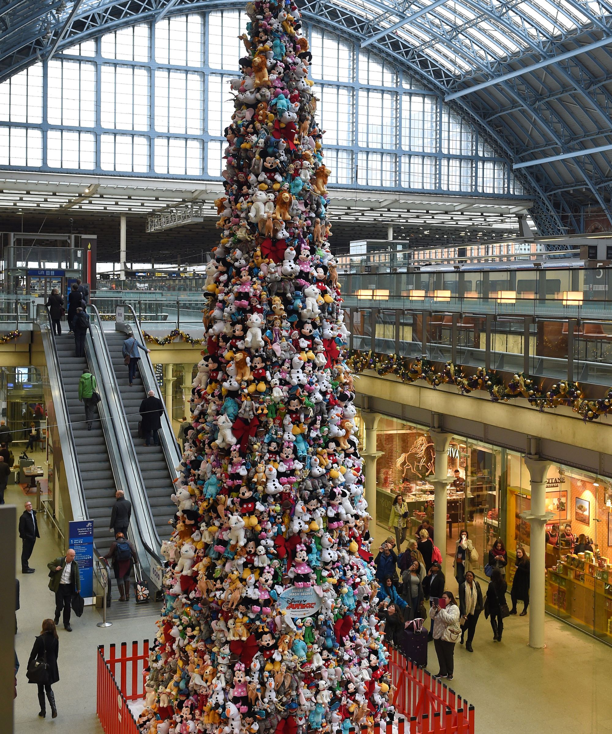 Favorite Christmas Trees