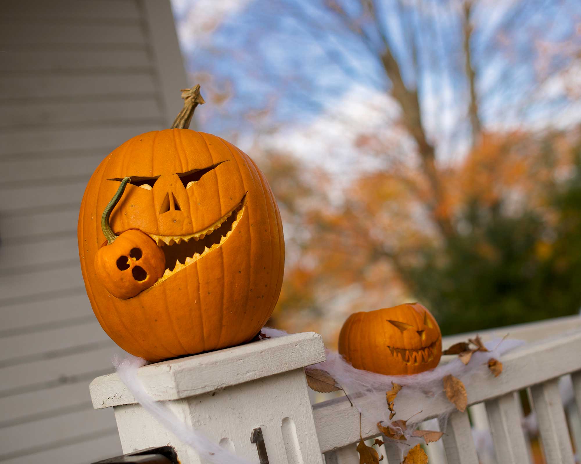 halloween carved pumpkin