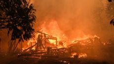 A structure burns in a wildfire.