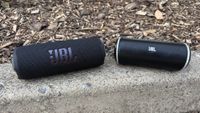 JBL Flip 7 and original Flip pictured outside together