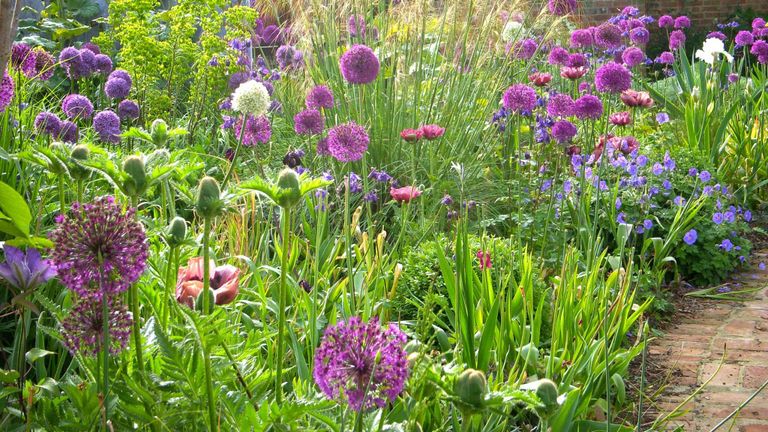 low maintenance garden border ideas with alliums, grasses and ferns