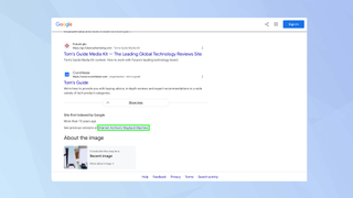 How to access archived web pages in Google