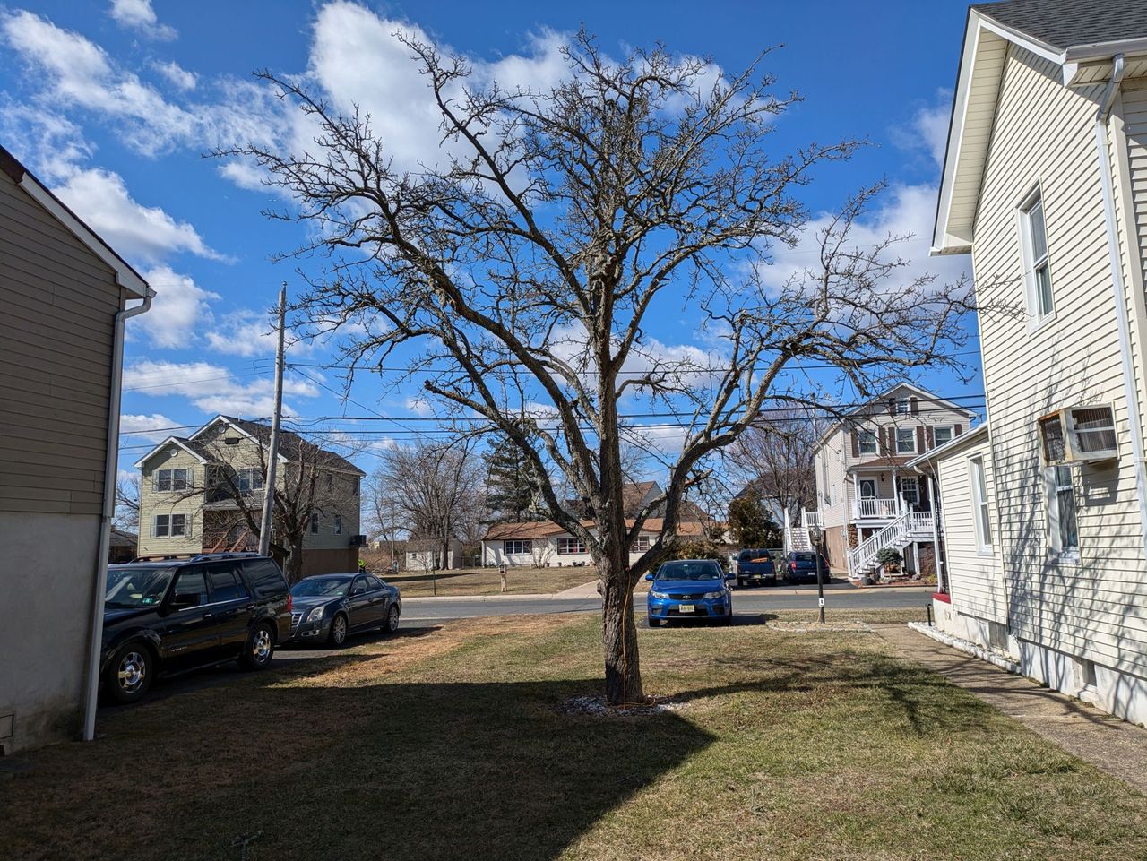 Google Pixel 8a daytime sample.