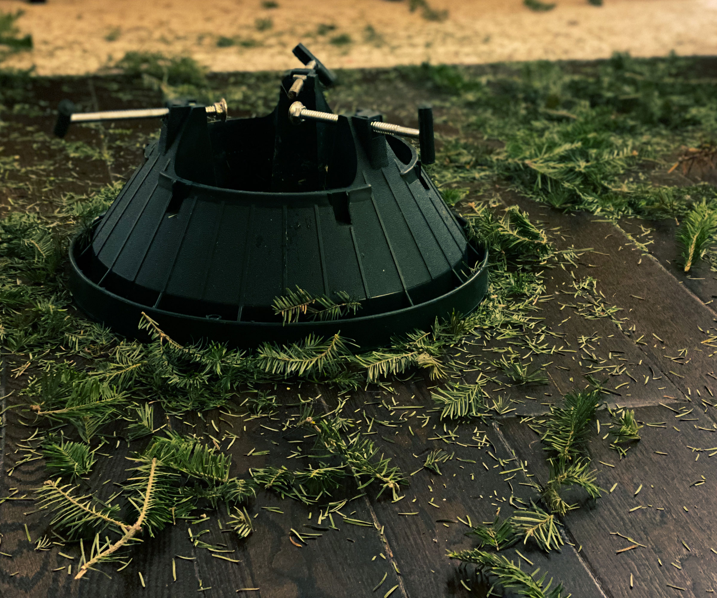 christmas tree base with pine needles scattered on wooden floor