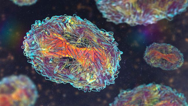 'Mpox' is the new name for monkeypox, the WHO says | Live Science