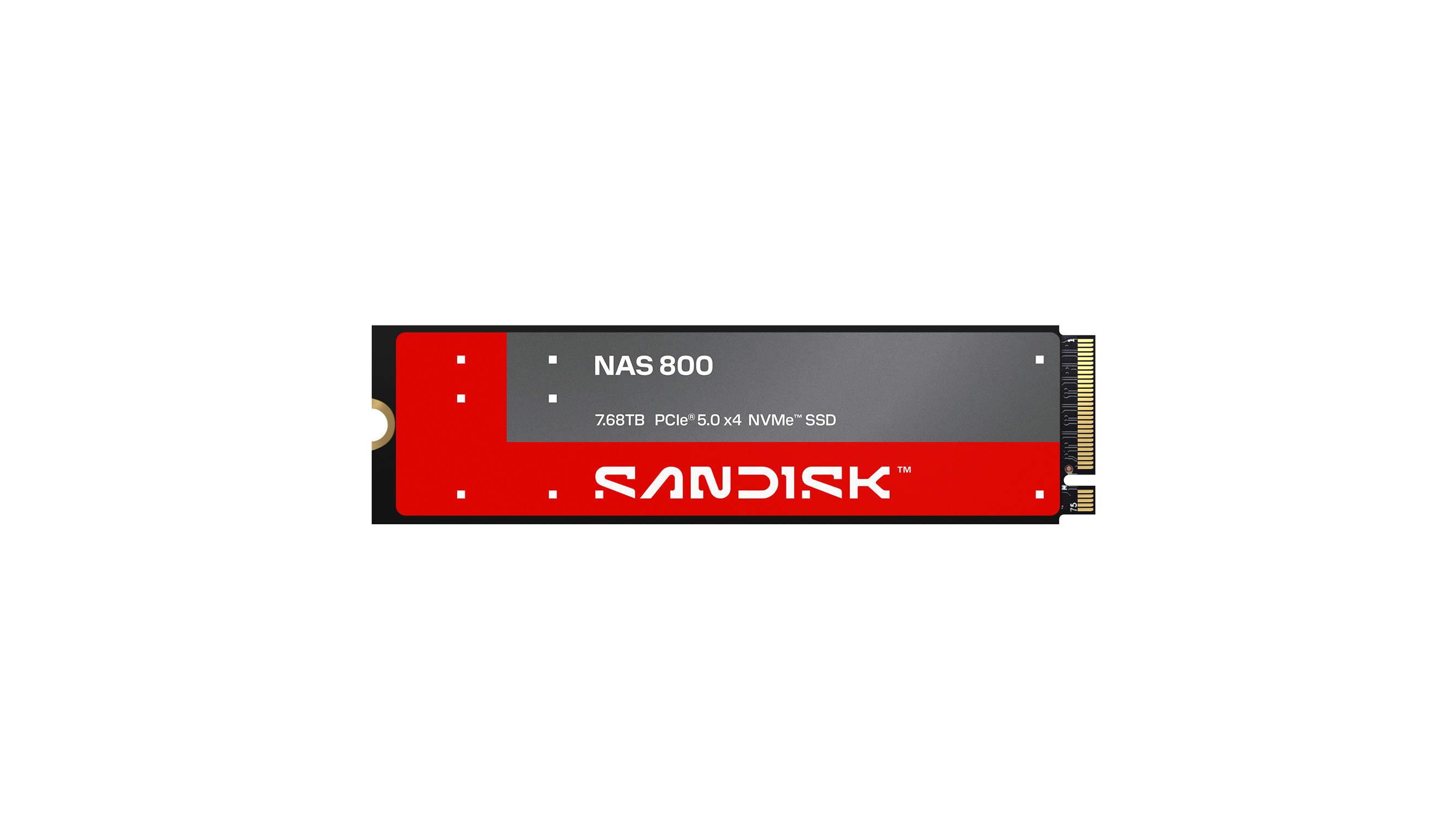 Sandisk NAS 800