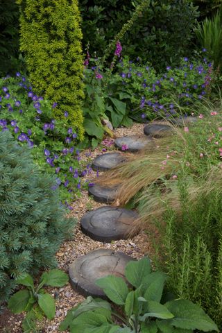 garden path made of stepping stones with plants and flowers at the borders