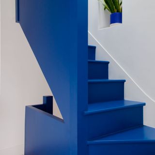 blue stair case colourful bookshelf