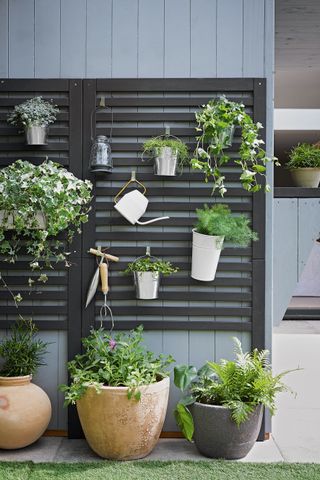 ideas for awkward shaped gardens: Wooden panel with plants hanging in pots, watering can and gardening tools above plants in pots.