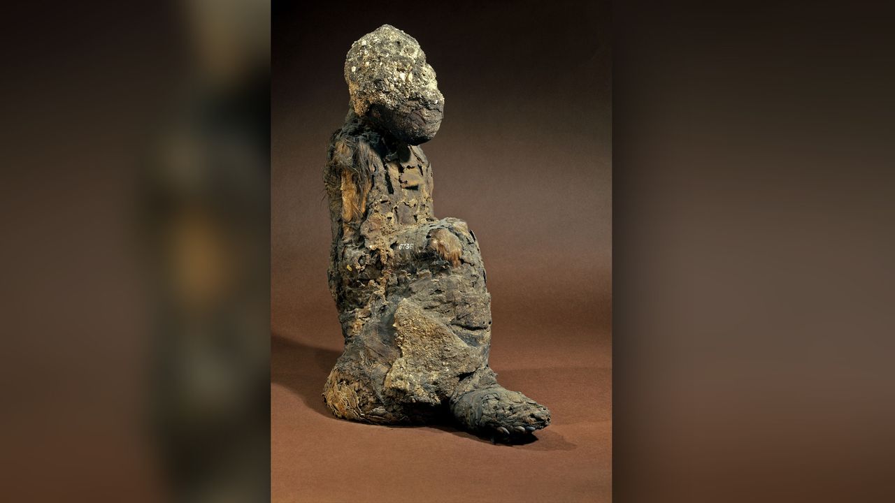 This New Kingdom Pan hamadryas baboon is part of the British Museum collection.