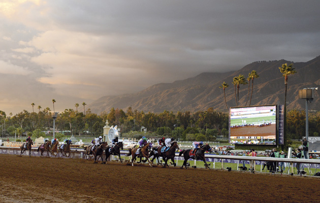 Breeders-Cup-Santa-Anita-LA-California.jpeg