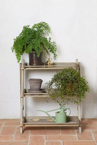 Outdoor planters: Image of Anthropologie planter