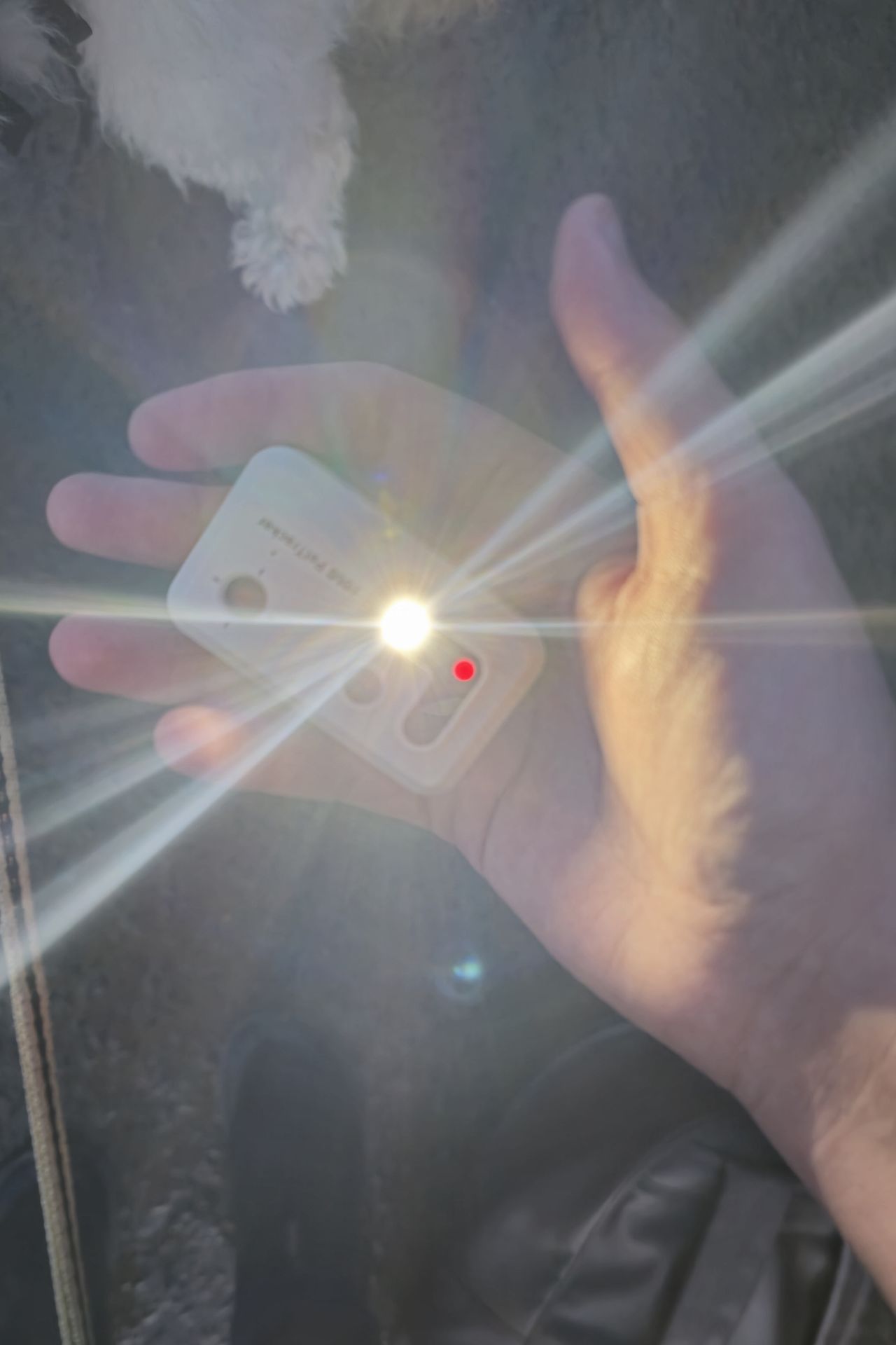 Enabot ROLA Pet Tracker review