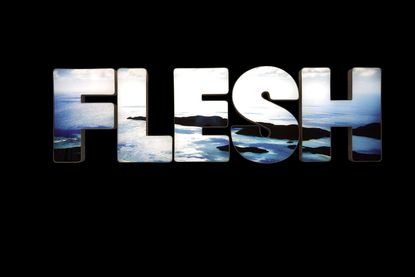 Flesh, 2012